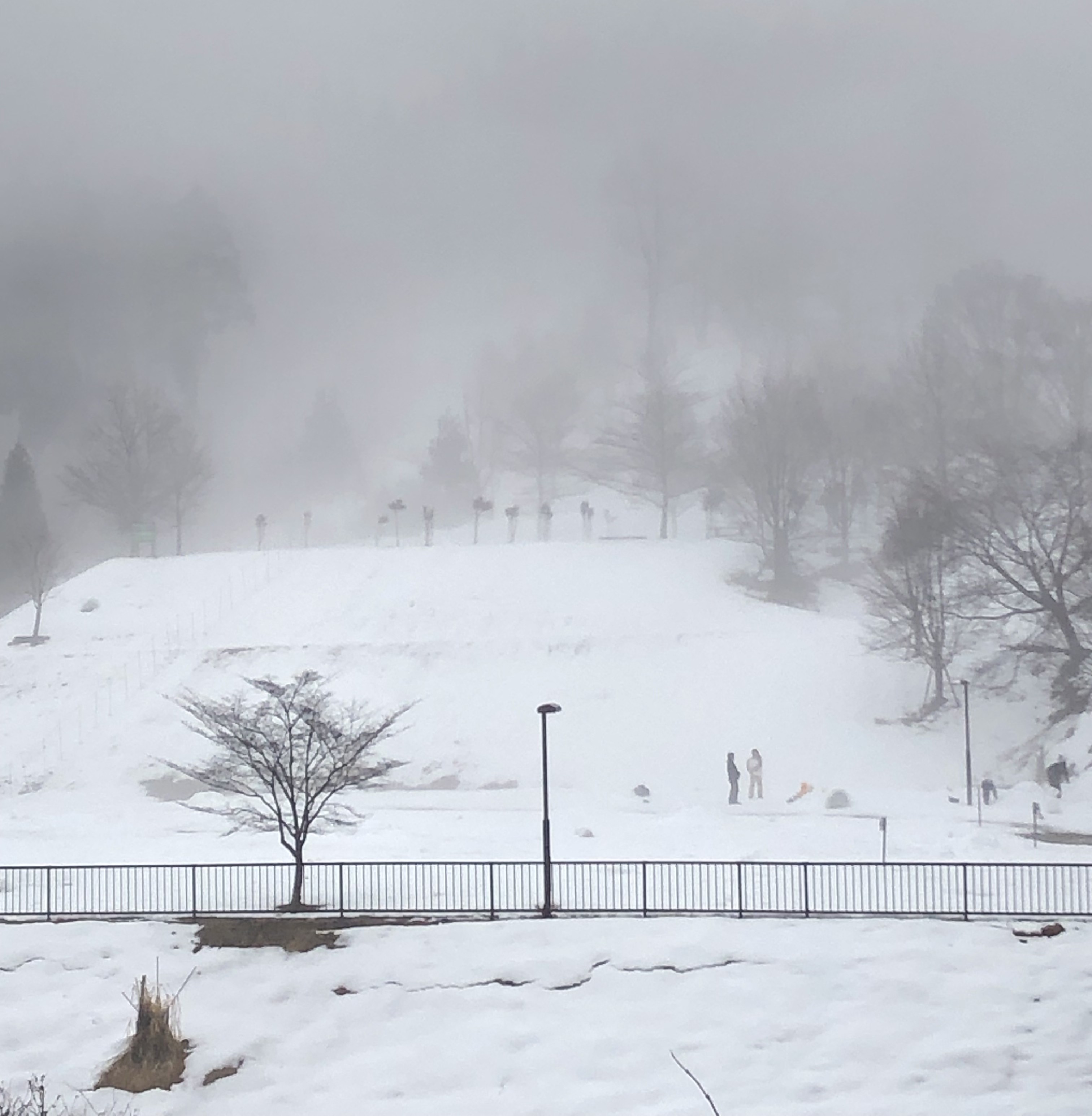 ファミリーゲレンデ、積雪情報